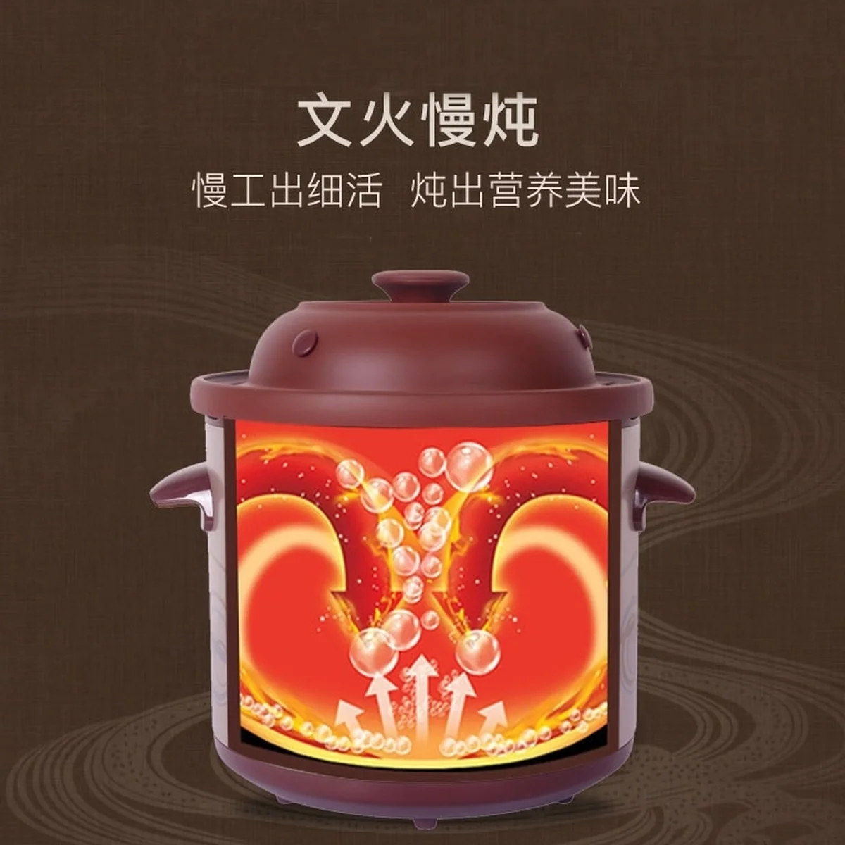Makoto Purple Clay Electronic Cooker DGD40-40SWD 4L