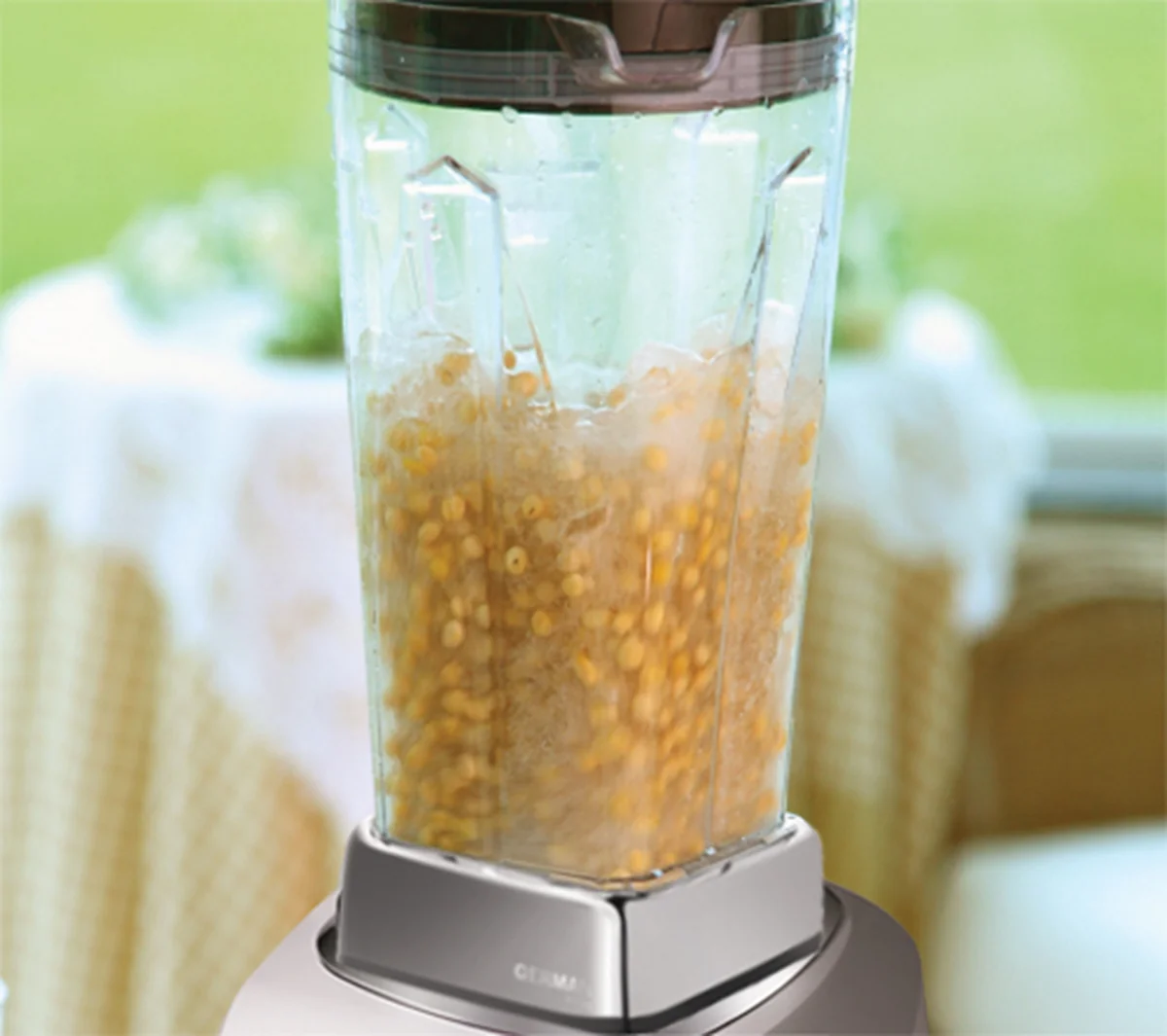 German Pool® Professional High-Speed Vegetable Blender PRO-6SSW Electric Chopper Food Processor