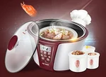 TONZE SMART ELECTRIC STEW POT DGD32-32EG 3.2L WITH 4 CERAMIC INNER POTS