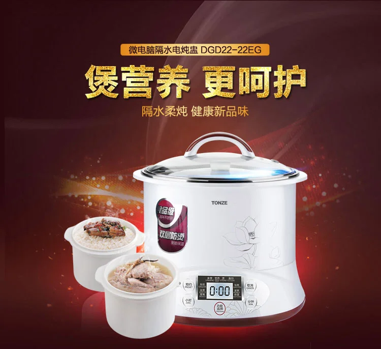 天际微电脑隔水炖盅DGD22-22EG