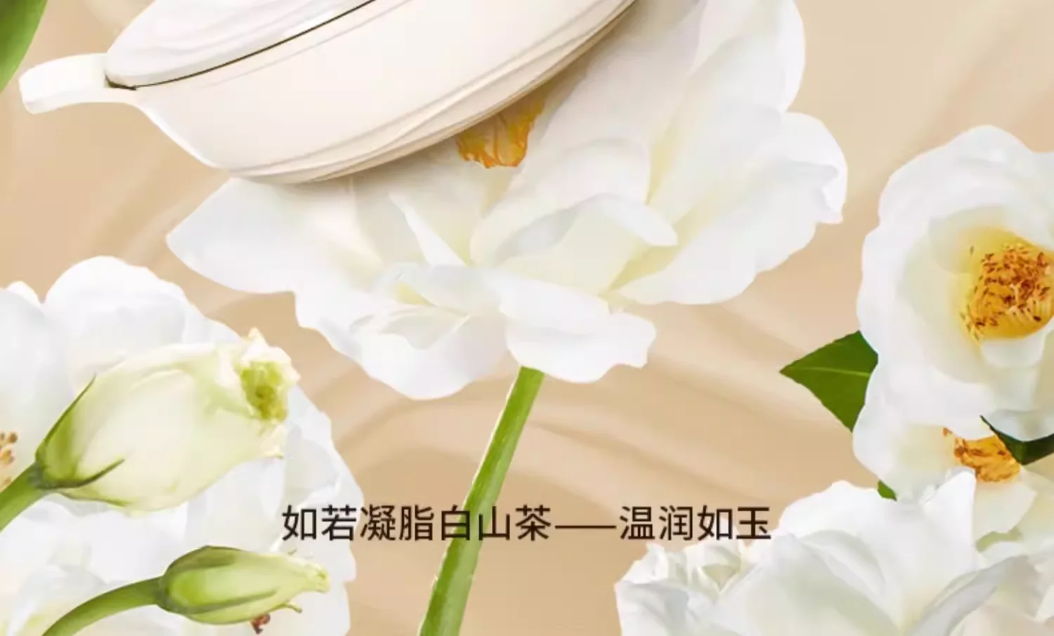 Amercook森林之花陶瓷0氟涂层不粘锅深煎锅平底锅家用煎牛排煎蛋锅 白山茶 25cm 详情图 3