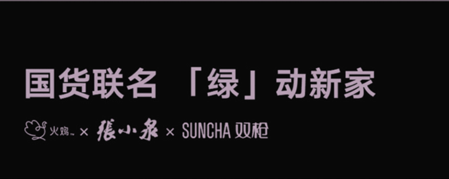 火鸡电器 全自动智能消毒刀架筷子消毒机绿色款KR-65 杀菌烘干 智能安全 详情图 3